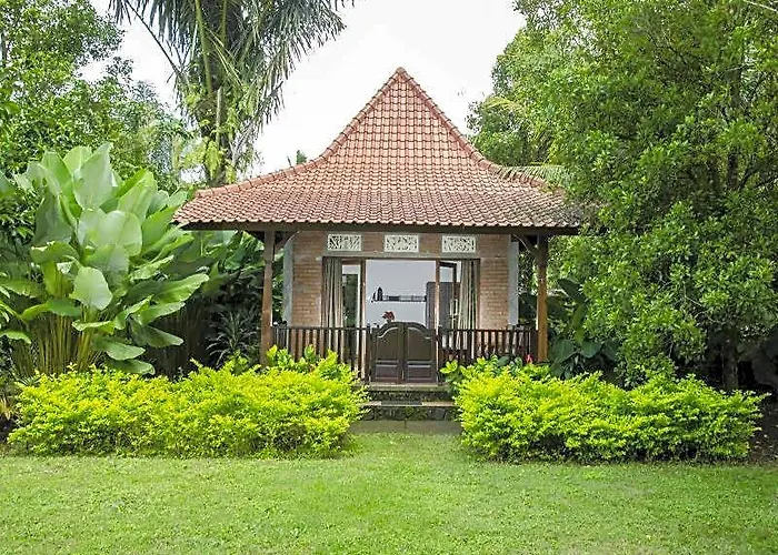 Amartya Puri